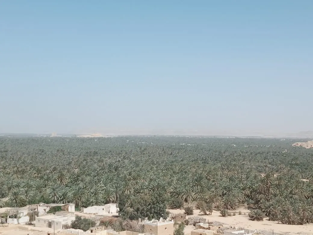 Siwa Oasis adventure and Al Alamein tour from Cairo