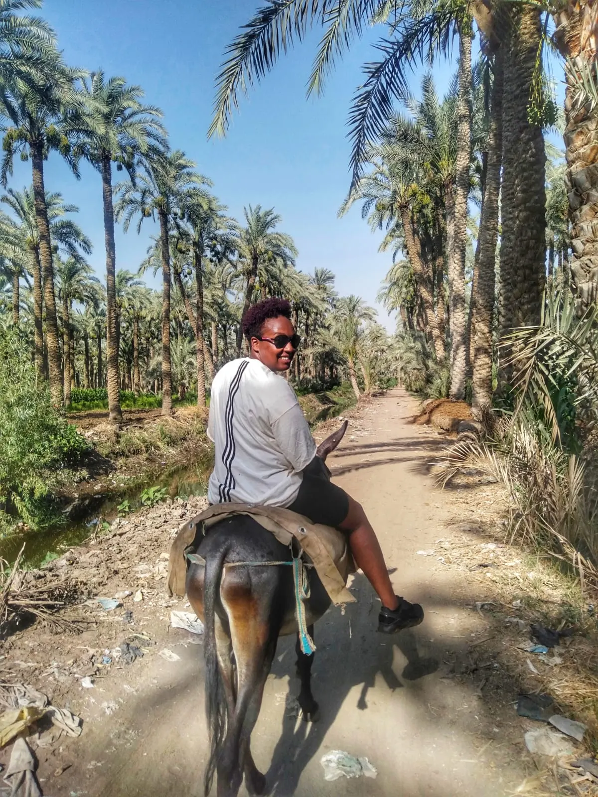 Giza countryside and Dahshur day tour