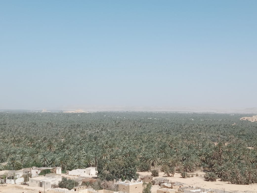 Siwa Oasis adventure and Al Alamein tour from Cairo