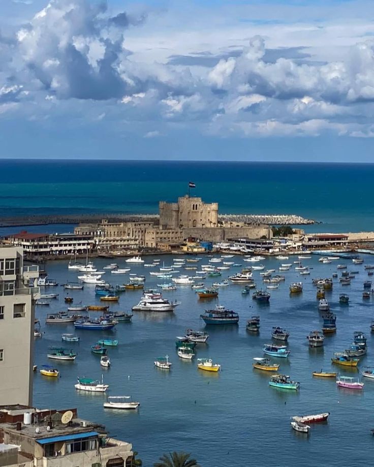 Discover Alexandria Port